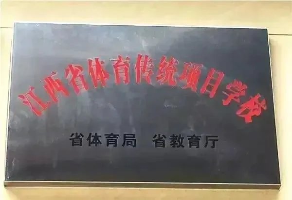 借助线上篮球训练平台在家也能追逐梦想_1